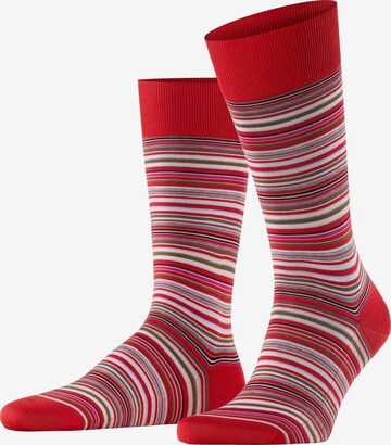 FALKE Socken 'Microblock' in Rot: Vorderseite