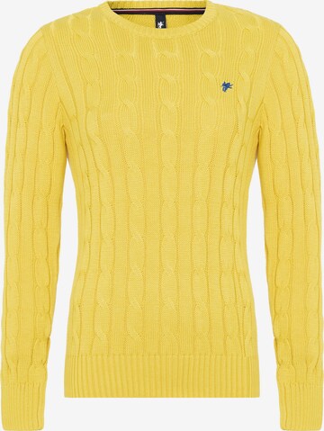 DENIM CULTURE Sweater 'LUDOVICA' in Yellow: front