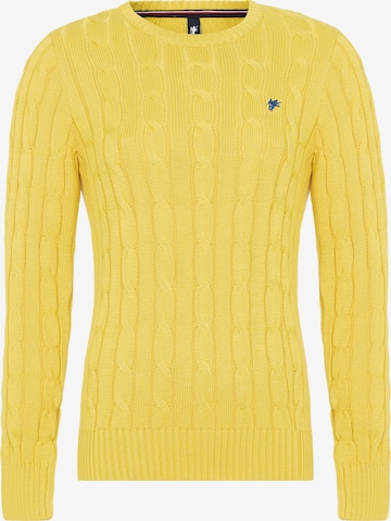 DENIM CULTURE Sweater 'LUDOVICA' in Yellow: front