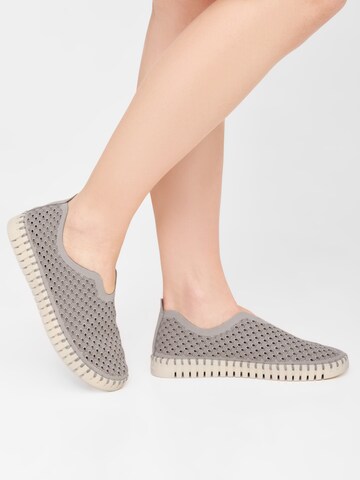 ILSE JACOBSEN Slip-on 'Tulip' in Grey: front