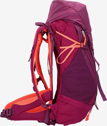 SALEWA Sports Backpack in Purple