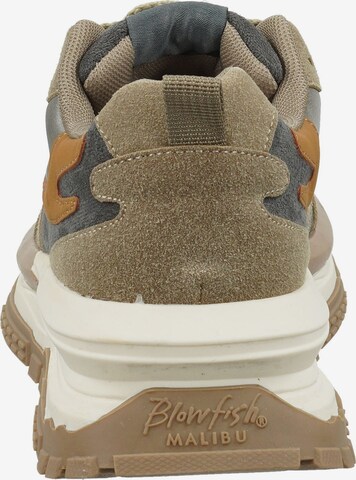 Sneaker bassa di Blowfish Malibu in marrone