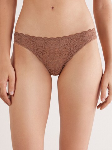 INTIMISSIMI Panty 'Brazilian' in Brown: front