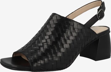 GERRY WEBER SHOES Sandals 'Sabrina 05' in Black: front