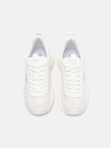 Baskets basses Calvin Klein en blanc