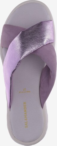 Mule SALAMANDER en violet