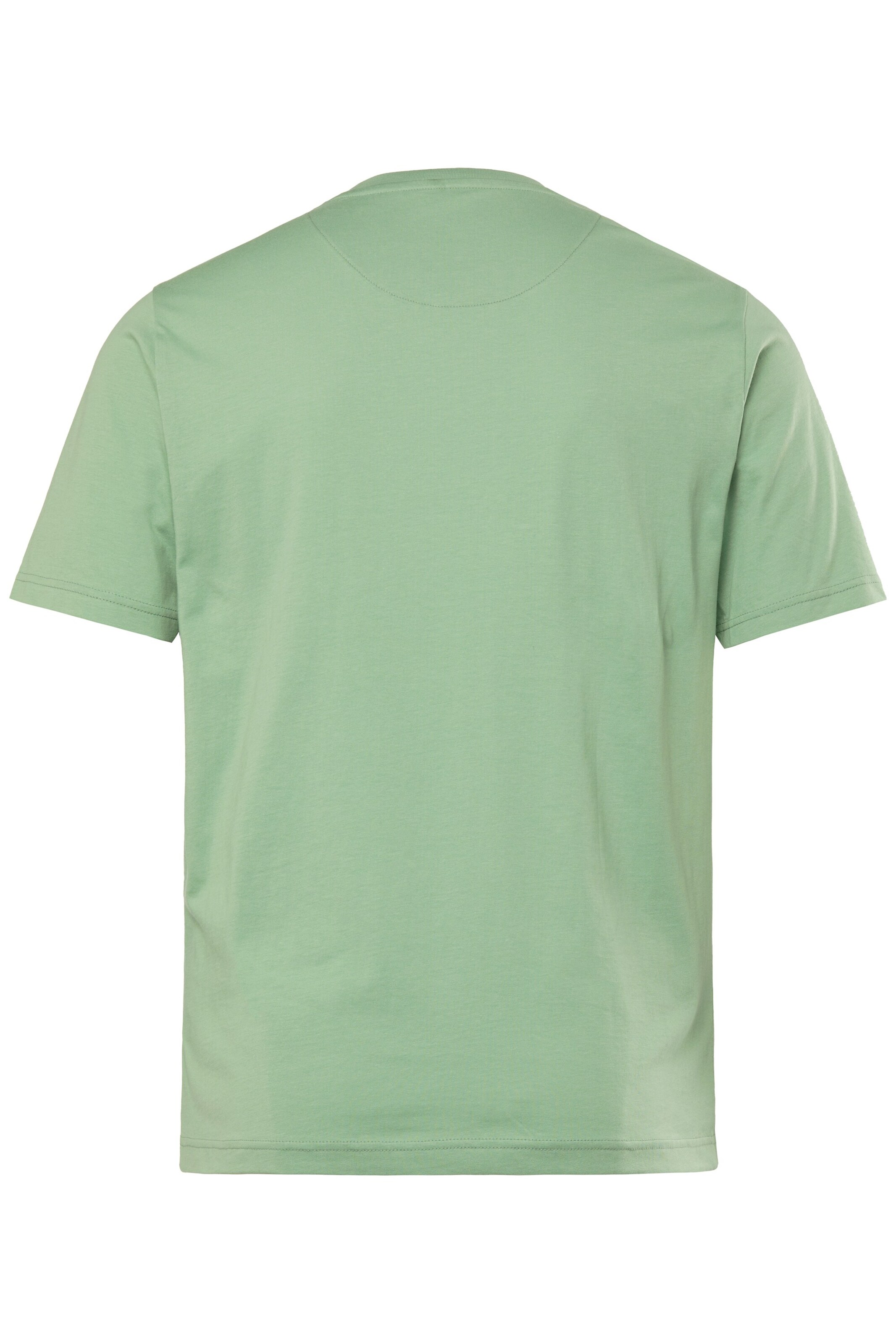 Men Plus T-Shirt in Grün
