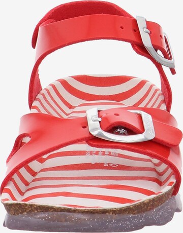 SUPERFIT Sandalen in Rood