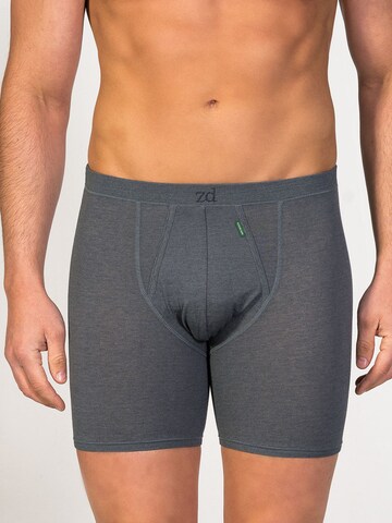 Boxer 'Cyclist Boxer' di zd ZERO DEFECTS in grigio: frontale