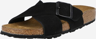 BIRKENSTOCK Pantolette 'Siena' i svart, Produktvy