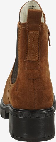 SALAMANDER Ankle Boots in Brown