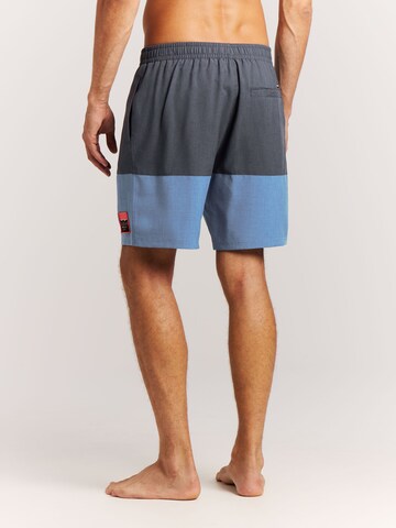 PROTEST Swimming shorts 'PRTCabus' in Blue