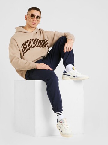 Abercrombie & Fitch Sweatshirt in Brown