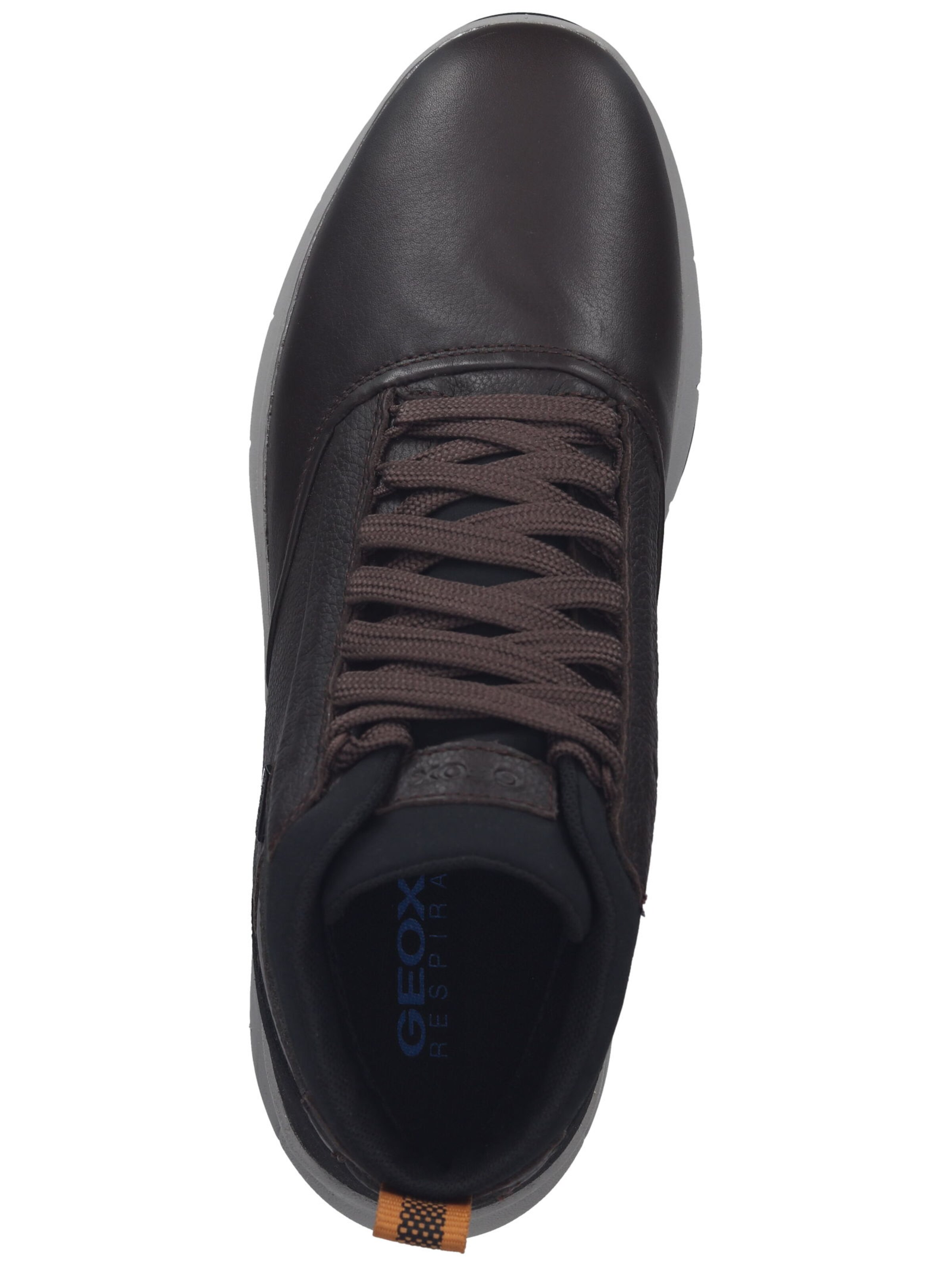 Sneaker alta di GEOX in marrone