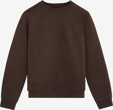 brūns Scalpers Sportisks džemperis: no priekšpuses