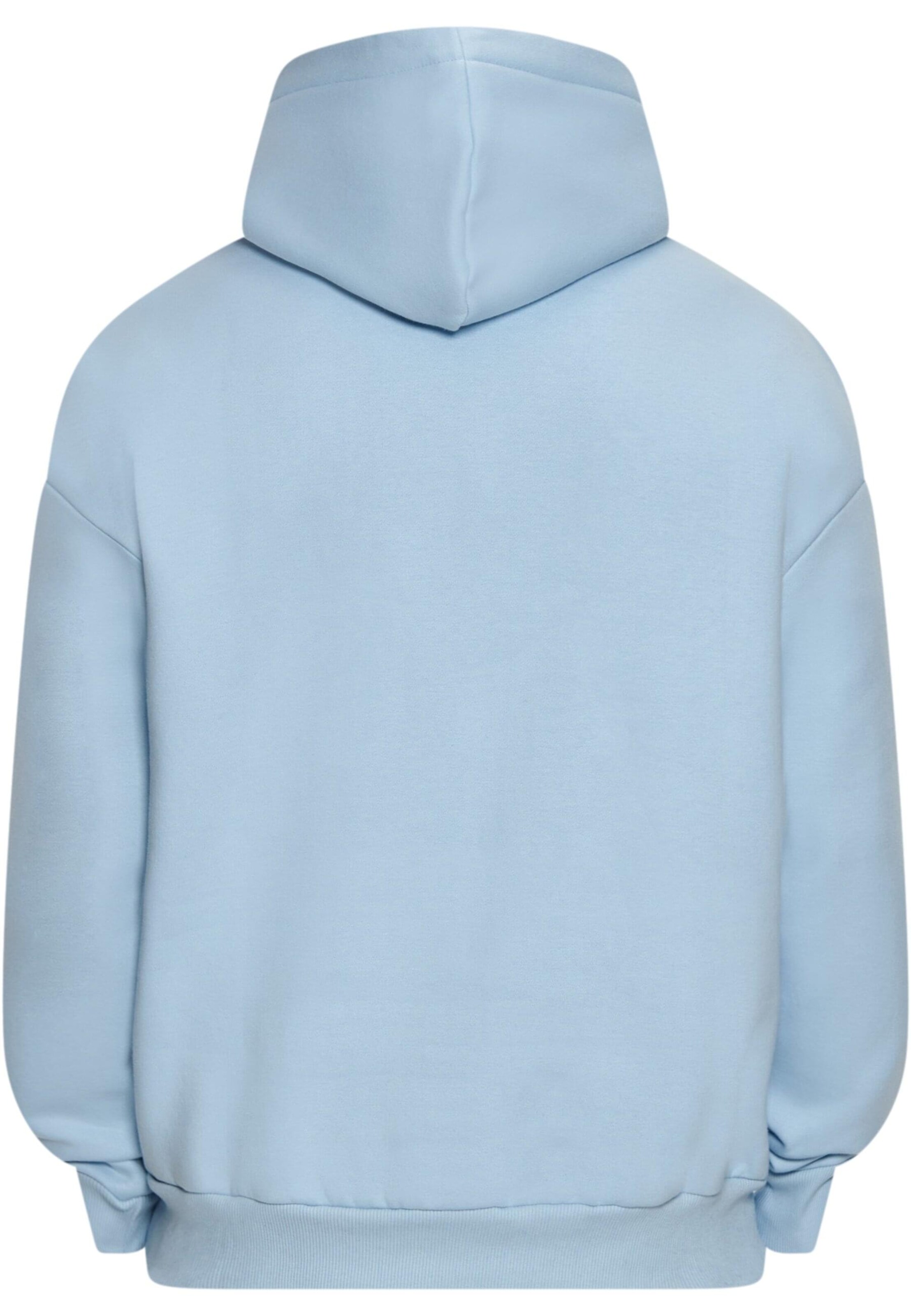 Dropsize Sweatshirt in Blau