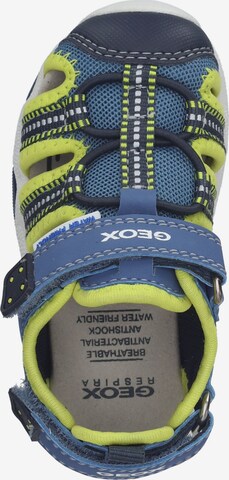 GEOX Sandals & Slippers 'Multy' in Blue