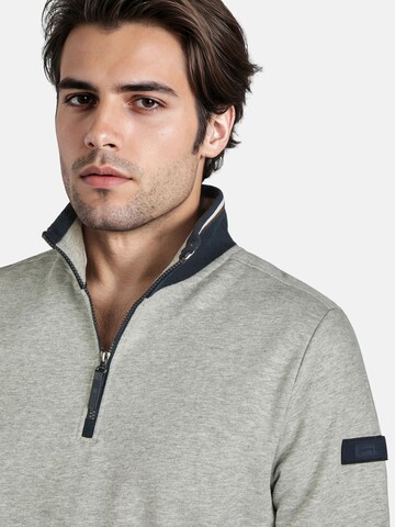 Pull-over PIERRE CARDIN en gris