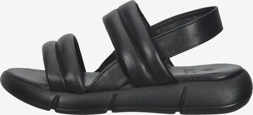 ILC Sandals in Black