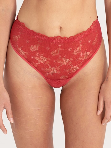Erlich Textil Slip in Rood: voorkant