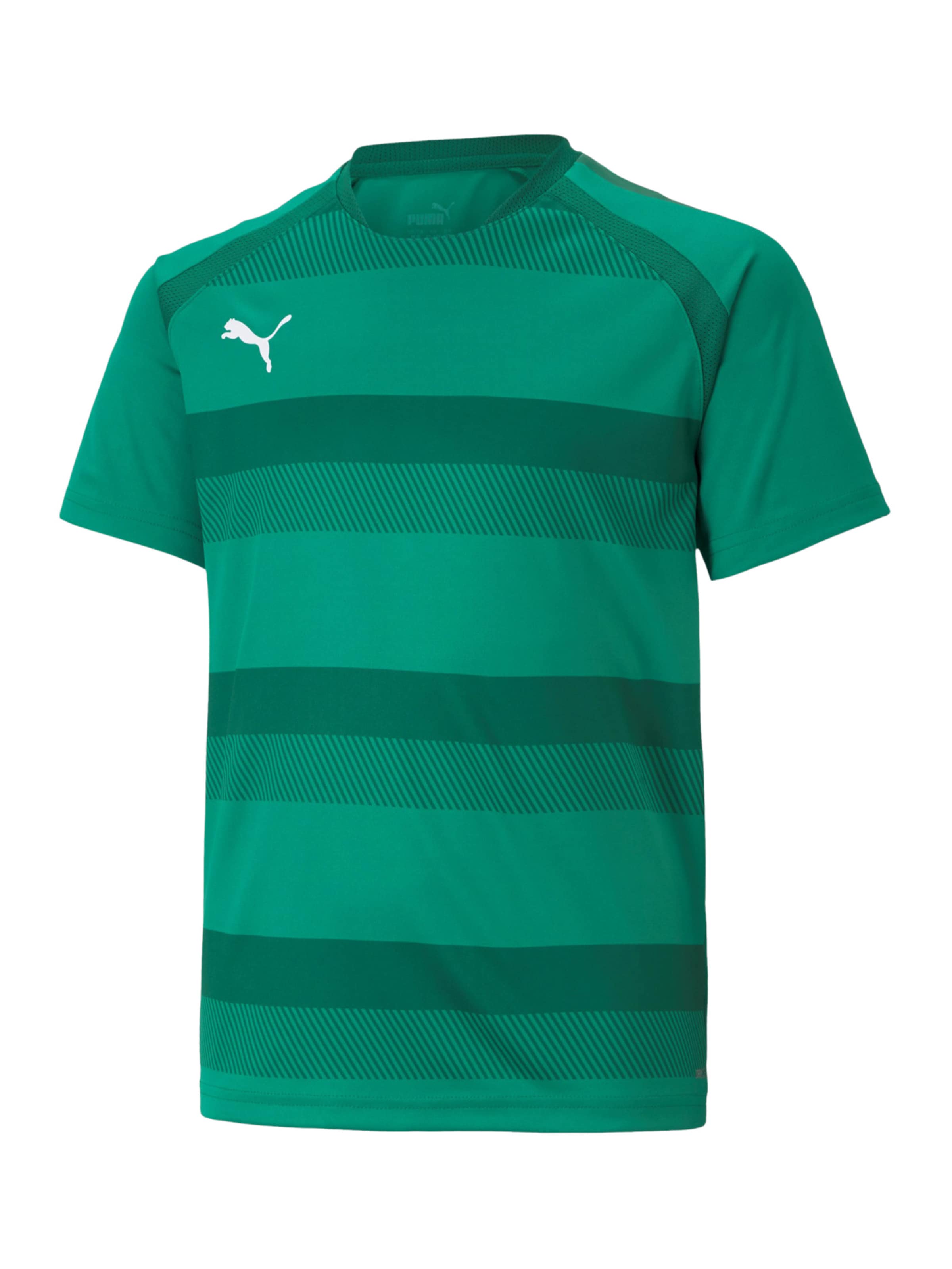PUMA Performance Shirt 'TeamVision' in Green: front