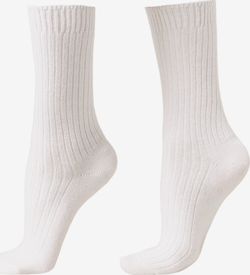 CALZEDONIA Socks in White: front