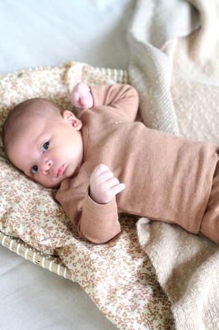 Noppies Shirt 'Natal' in Brown