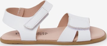Sandales Pisamonas en blanc : devant