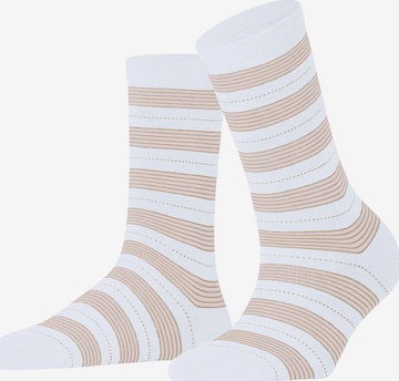FALKE Socken 'Stripe Uniform' in Weiß: Vorderseite