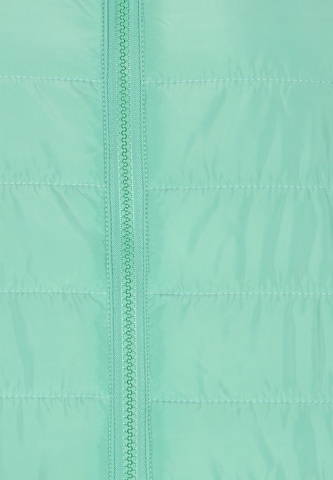 Veste d’hiver Reiswood en vert
