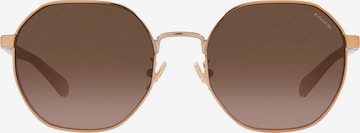 COACH Sunglasses in Gold