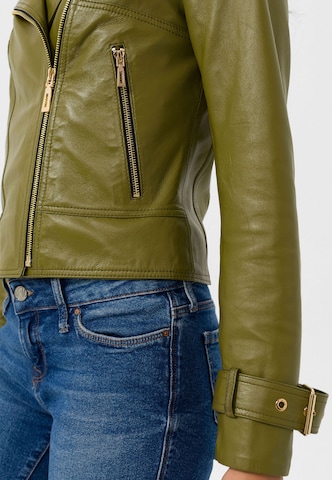 Veste mi-saison Jimmy Sanders en vert