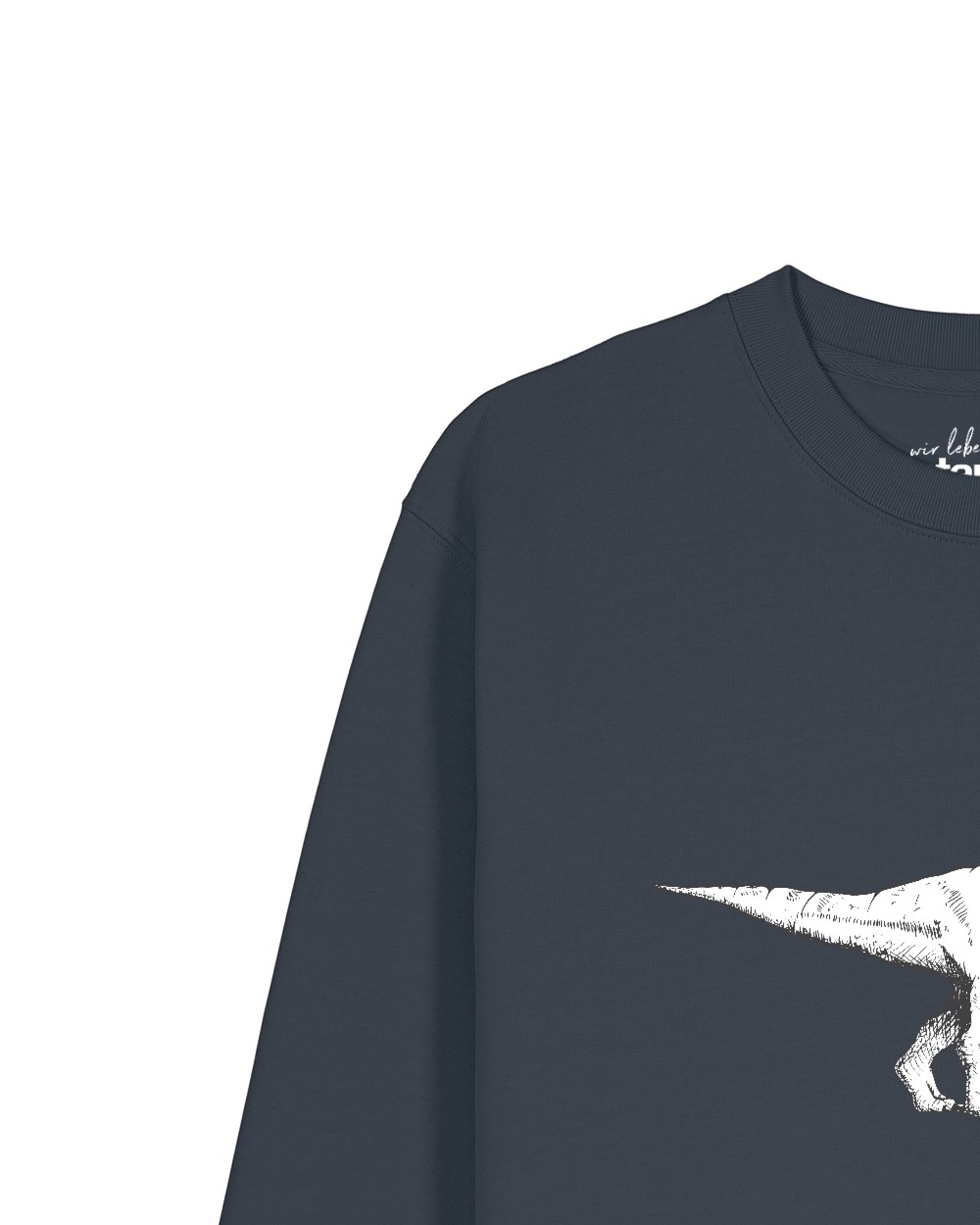 Watapparel Sweatshirt 'Astronaut on T-Rex' in Grijs