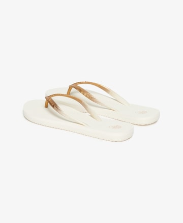 Tongs Superdry en blanc