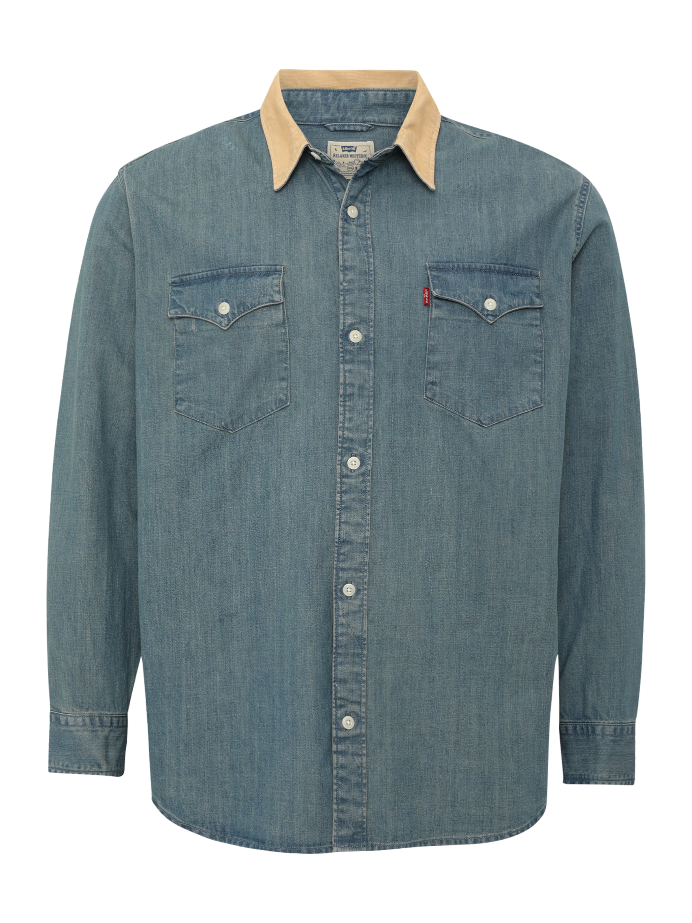 Levi's® Big & Tall Regular Fit Hemd in Blau: Vorderseite