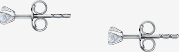 Live Diamond Earrings in White