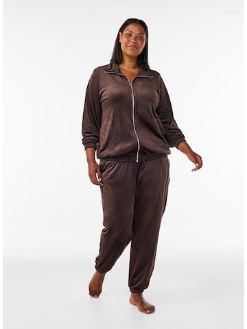 Tapered Pantaloni di Zizzi in marrone