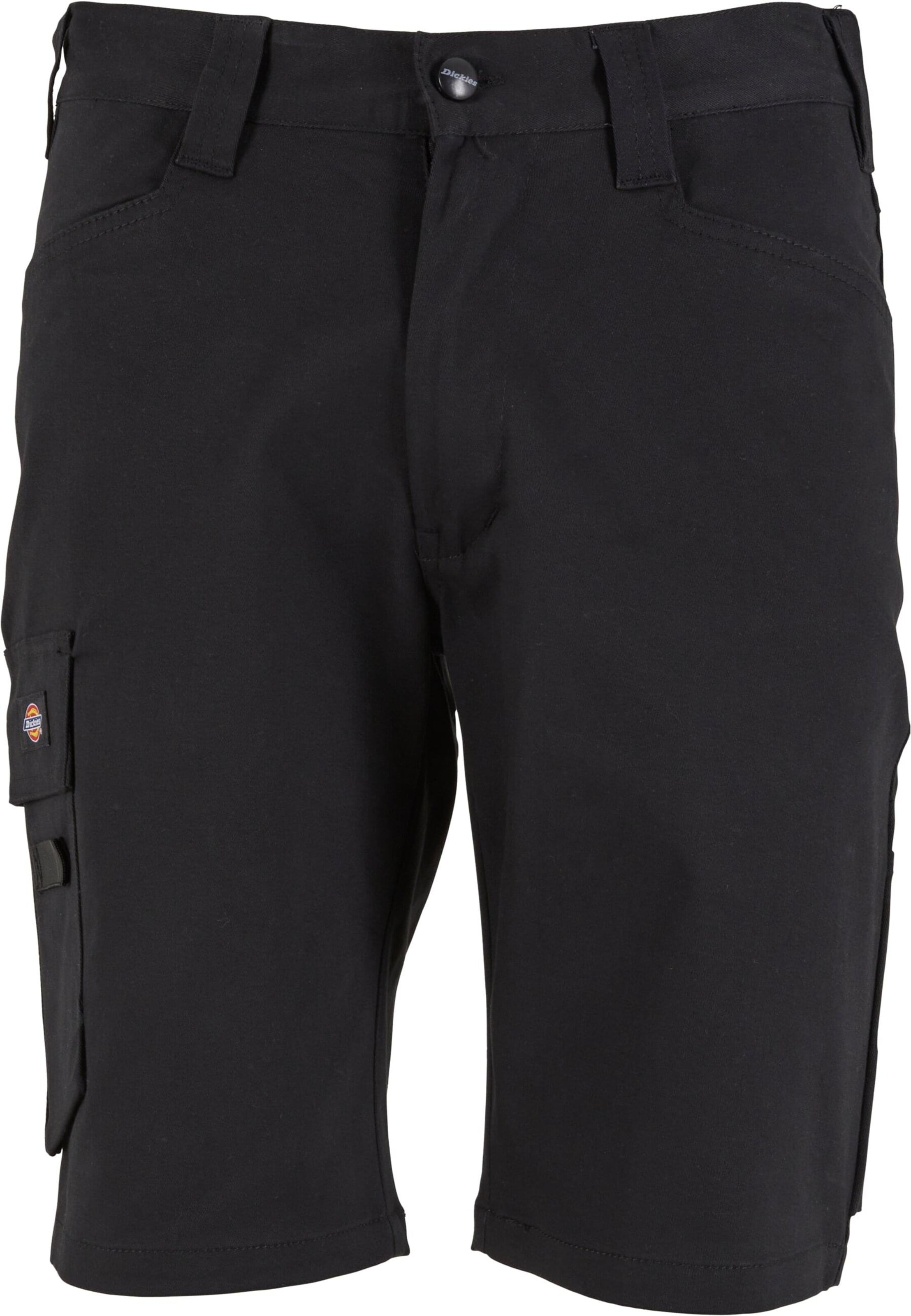 DICKIES Regular Cargo trousers in Black: front
