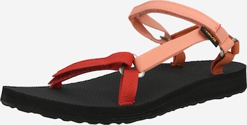 TEVA Remmisandaalit värissä punainen: etupuoli