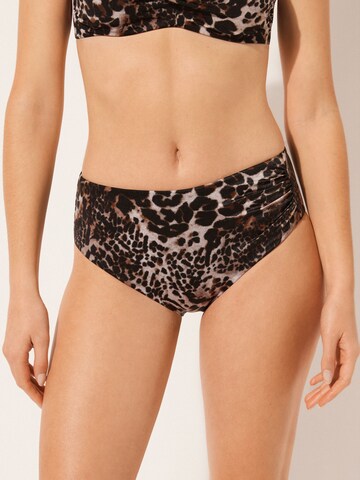 CALZEDONIA Bikini Bottoms in Brown: front