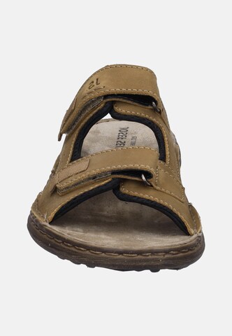 JOSEF SEIBEL Mules 'Vincent 14' in Brown