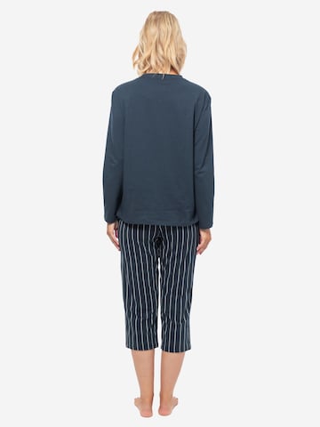 SCHIESSER Pyjama 'Cotton' in Blauw