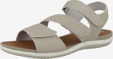 GEOX Sandalen met riem in Beige: voorkant