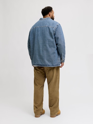 JACK & JONES regular Bukser 'JJ' i brun