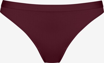 Culotte 'Brasil' Mey en violet : devant