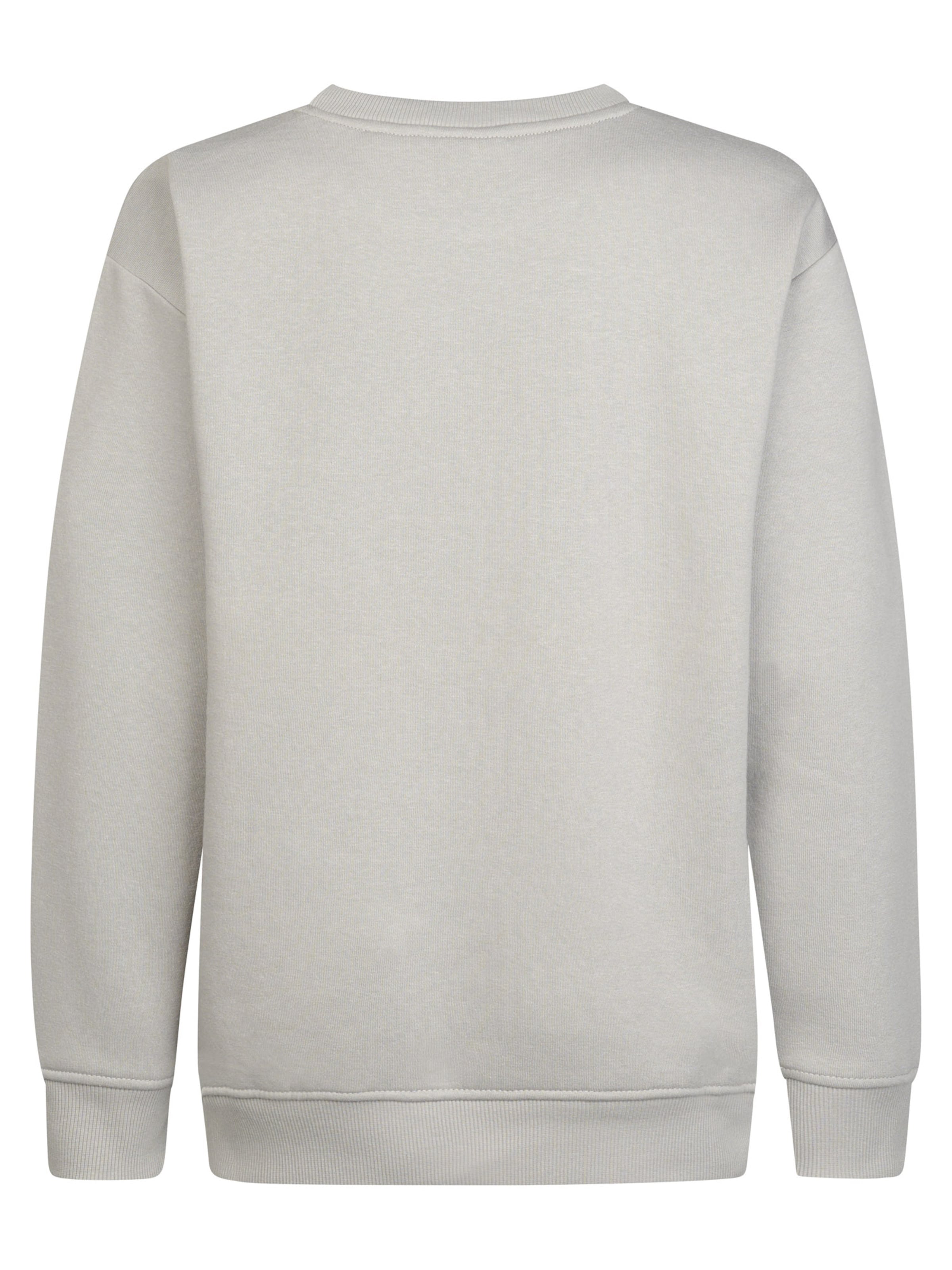 Petrol Industries Sweatshirt in Grijs