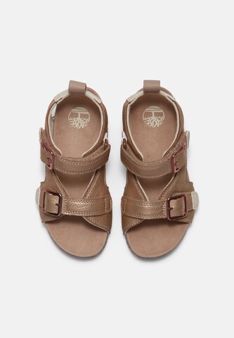 TIMBERLAND Sandal 'Backstrap Sandal' in Blue