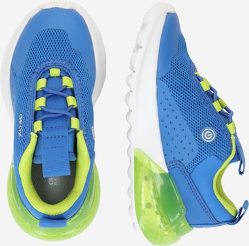 GEOX Sneakers 'Illuminus' in Blauw