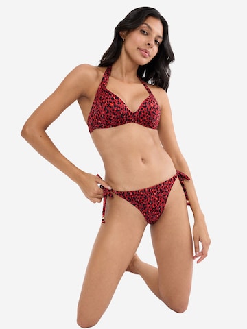 Bas de bikini ' Red Label Midnight Swim ' TRIUMPH en marron