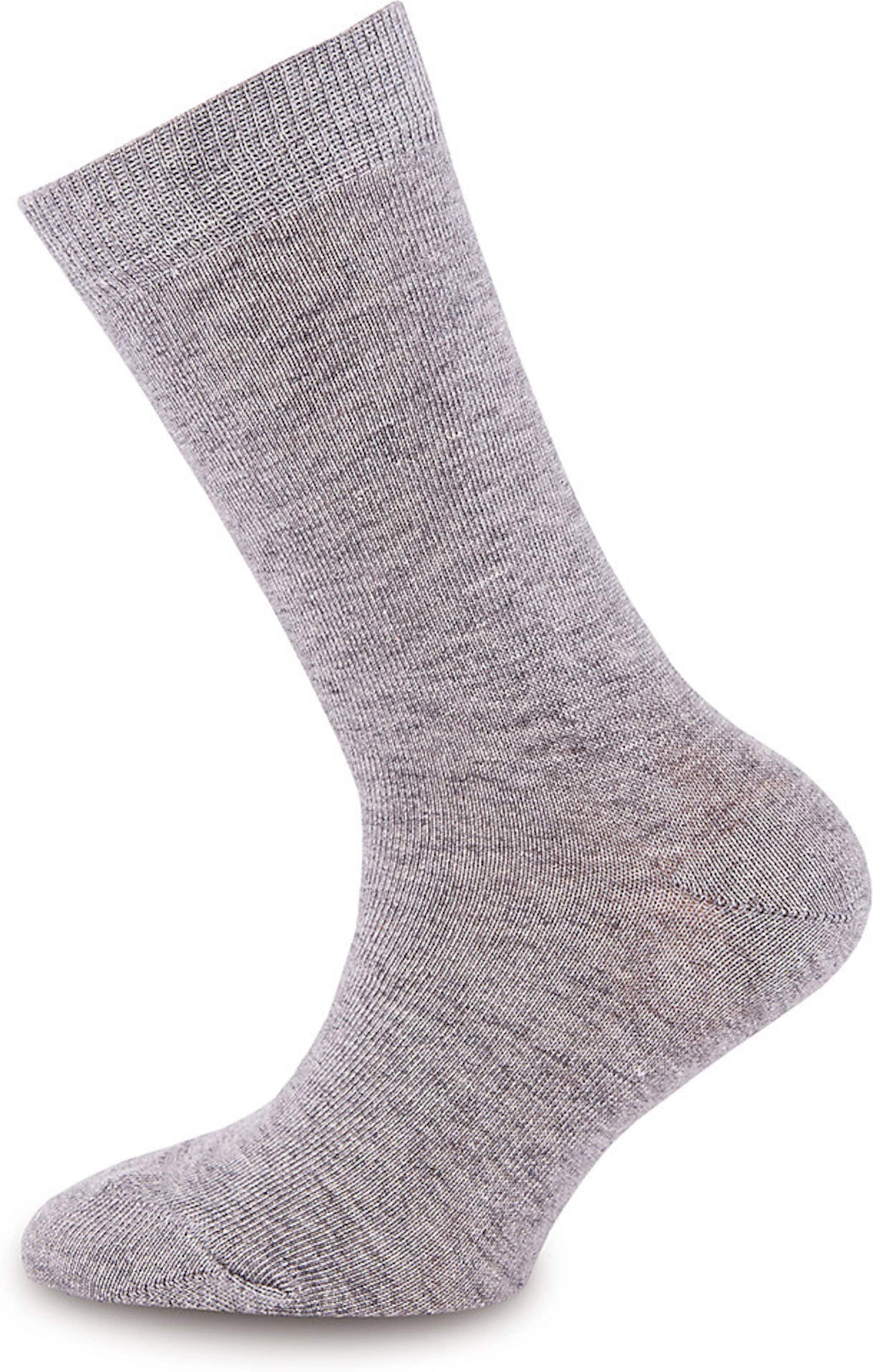 EWERS - regular Calcetines en gris